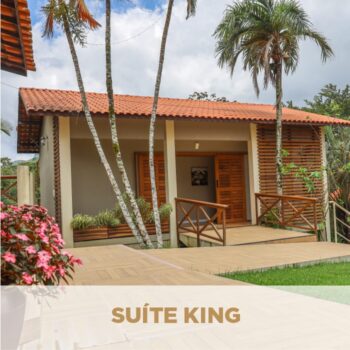Suite king
